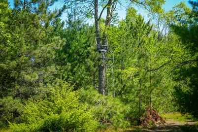 Parcel 1 Makinen Road, Kaleva, MI 49645 - Photo 31