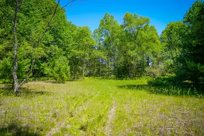 Parcel 1 Makinen Road, Kaleva, MI 49645 - Photo 19