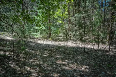 Parcel 1 Makinen Road, Kaleva, MI 49645 - Photo 25