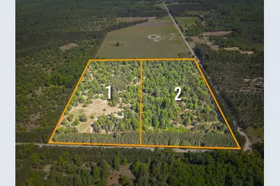 Parcel 2 Makinen Road, Kaleva, MI 49645 - Photo 41