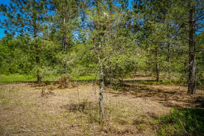 Parcel 2 Makinen Road, Kaleva, MI 49645 - Photo 3