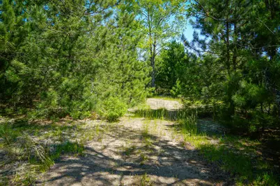 Parcel 2 Makinen Road, Kaleva, MI 49645 - Photo 5