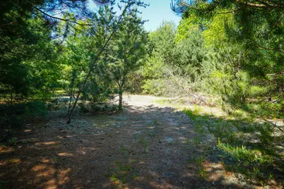 Parcel 2 Makinen Road, Kaleva, MI 49645 - Photo 7
