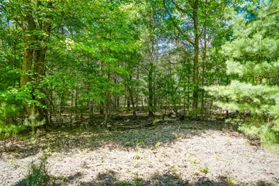 Parcel 2 Makinen Road, Kaleva, MI 49645 - Photo 29