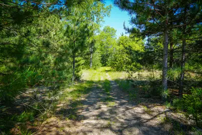 Parcel 2 Makinen Road, Kaleva, MI 49645 - Photo 27