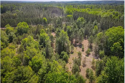 Parcel 2 Makinen Road, Kaleva, MI 49645 - Photo 15