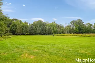 417 W Main St, Stanton, MI 48888 - Photo 41