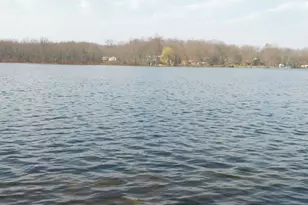124 Peterson Dr, Gobles, MI 49055 - Photo 35