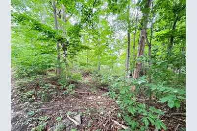 200 S Water Street, Hart, MI 49420 - Photo 3
