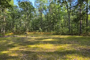 9676 N Campbell Rd, Free Soil, MI 49411 - Photo 13