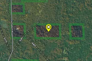 9676 N Campbell Rd, Free Soil, MI 49411 - Photo 7
