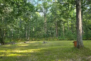 9676 N Campbell Rd, Free Soil, MI 49411 - Photo 9