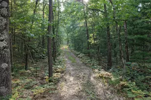 9676 N Campbell Rd, Free Soil, MI 49411 - Photo 53