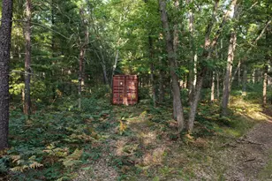 9676 N Campbell Rd, Free Soil, MI 49411 - Photo 17