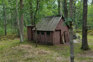 9676 N Campbell Rd, Free Soil, MI 49411 - Photo 19