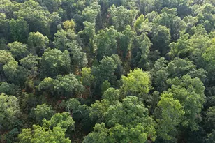 9676 N Campbell Rd, Free Soil, MI 49411 - Photo 49