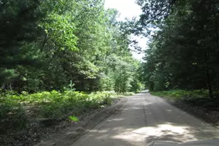 0 Victoria Blvd, Pentwater, MI 49449 - Photo 1