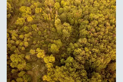V/L Onondaga, Holt, MI 48842 - Photo 3