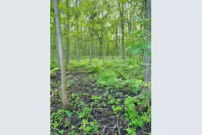 V/L Onondaga, Holt, MI 48842 - Photo 9