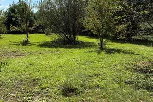 72670 Co Rd 376, Covert, MI 49043 - Photo 33