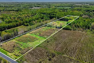 61199 Co Rd 380, Bangor, MI 49013 - Photo 1