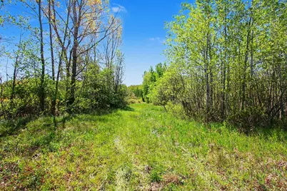 61199 County Road 380, Bangor, MI 49013 - Photo 5