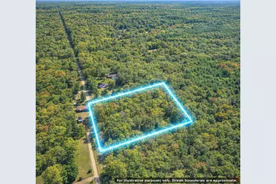 00000 W Olson Road, Shepherd, MI 48883 - Photo 9