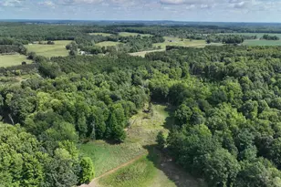 3685 Cypress Rd, Blanchard, MI 49340 - Photo 29