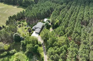 3685 Cypress Rd, Blanchard, MI 49340 - Photo 21