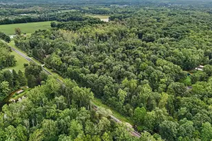 41341 Co Rd 665, Paw Paw, MI 49079 - Photo 31