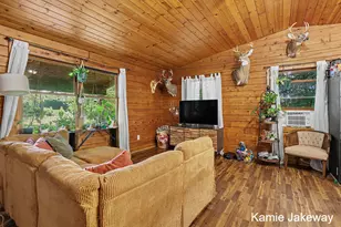 10481 Brown Rd, Fenwick, MI 48834 - Photo 9