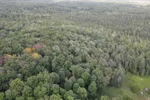 3305 S Coville Rd, Mikado, MI 48745 - Photo 15
