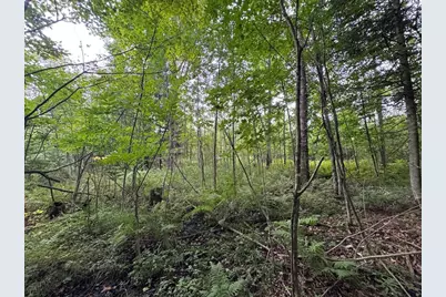 3305 S Coville Road, Mikado, MI 48745 - Photo 27