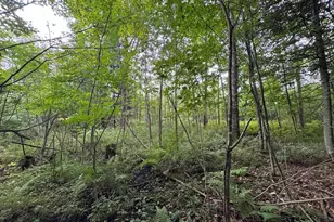 3305 S Coville Rd, Mikado, MI 48745 - Photo 27