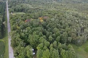 3305 S Coville Rd, Mikado, MI 48745 - Photo 17