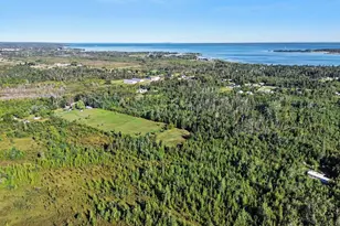 12222 Butler Rd, Cheboygan, MI 49721 - Photo 5
