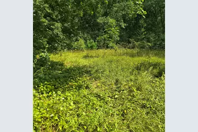 Elanor - South Of House Street, Niles, MI 49120 - Photo 3