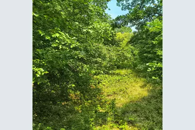 Elanor - South Of House Street, Niles, MI 49120 - Photo 5
