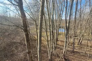 1863 Crystal Ln, Allegan, MI 49010 - Photo 41