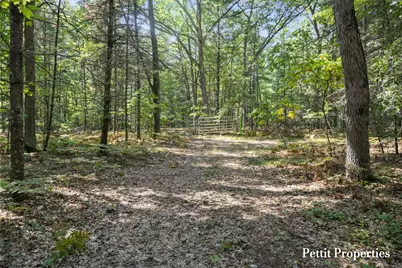 V/L S 142nd Avenue, Rothbury, MI 49452 - Photo 1
