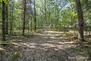 V/L S 142nd Ave, Rothbury, MI 49452 - Photo 1