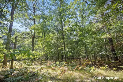V/L S 142nd Avenue, Rothbury, MI 49452 - Photo 5
