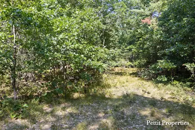 V/L S 142nd Avenue, Rothbury, MI 49452 - Photo 9