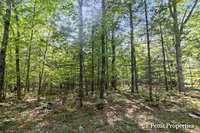 V/L S 142nd Avenue, Rothbury, MI 49452 - Photo 3