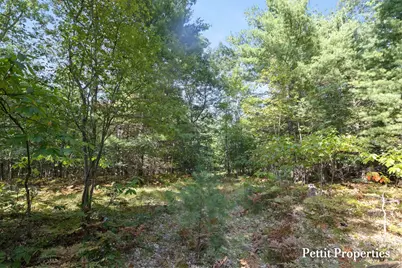 V/L S 142nd Avenue, Rothbury, MI 49452 - Photo 11