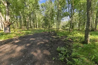 9310 140th Avenue, Stanwood, MI 49346 - Photo 21