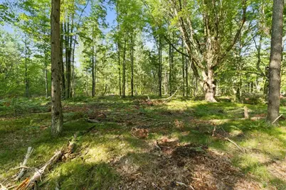 9310 140th Avenue, Stanwood, MI 49346 - Photo 23