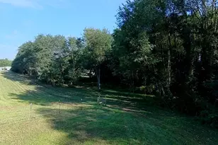 5773 M-66, East Leroy, MI 49051 - Photo 27