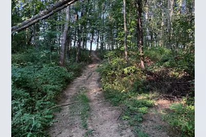 5773 M 66, East Leroy, MI 49051 - Photo 31