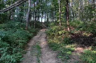 5773 M-66, East Leroy, MI 49051 - Photo 31